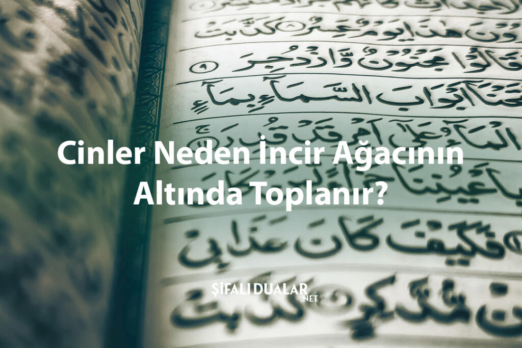 Cinler Neden İncir Ağacının Altında Toplanır