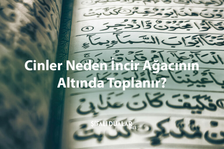 Cinler Neden İncir Ağacının Altında Toplanır