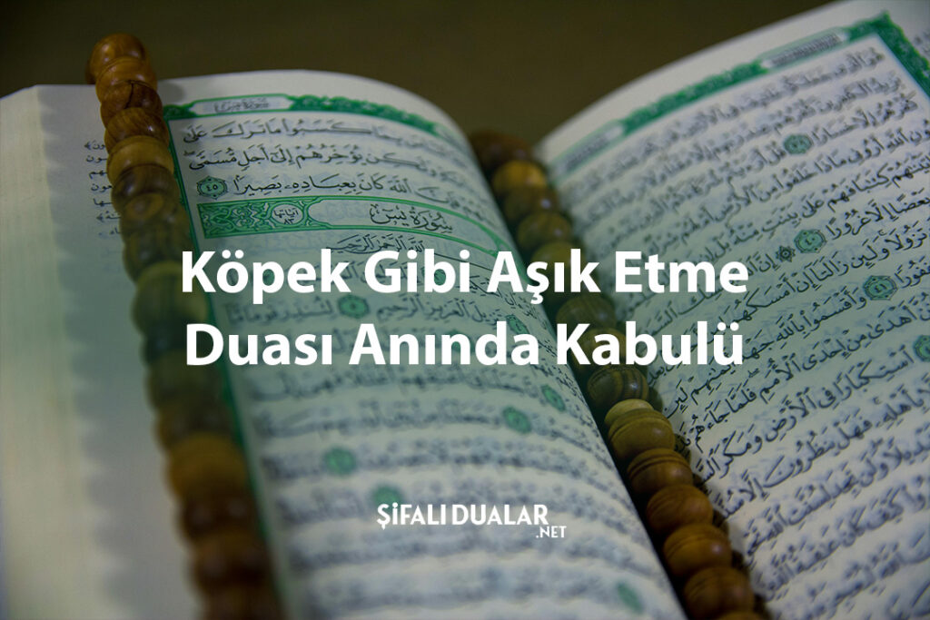 Köpek Gibi Aşık Etme Duası Anında Kabulü